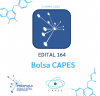Edital 164 Bolsa CAPES